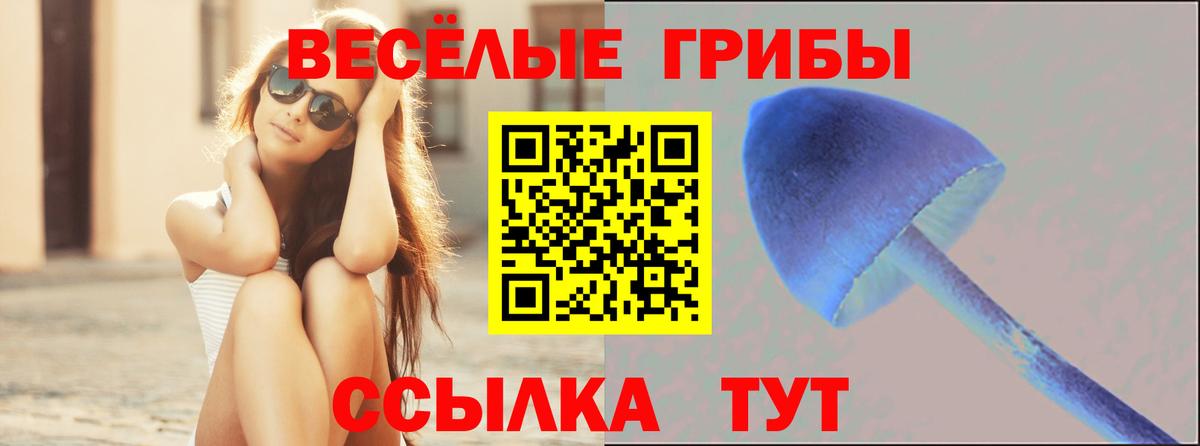 Псилоцибиновые грибы Psilocybe  Псилоцибиновые грибы ЛСД  продажа наркотиков  Артём  Вход с VPN 